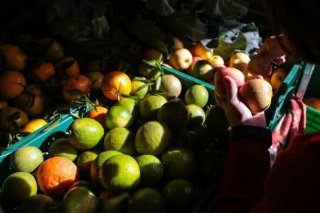 Na Feira agroecológica da José Bonifácio, produtores expõem há 30 anos. Foto: Guilherme Santos/Sul21