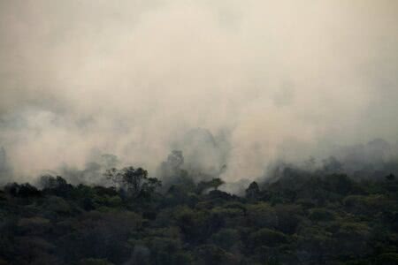 ‘Xingu sem parque seria o inferno na terra’: pesquisadora alerta para importância de territórios indígenas