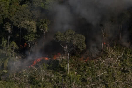 Foto: Bruno Kelly/Amazônia Real