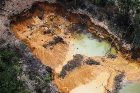 Levantamento alerta para uma devastação ambiental crescente nos biomas de todo o país.  (Foto: Chico Batata/Greenpeace)