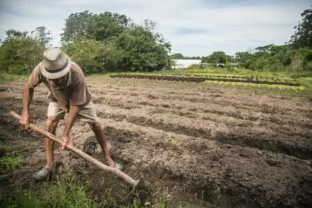 Com aumento nos custos de produção, Plano Safra não atende necessidades da agricultura familiar