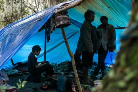 Retomada Mbyá-Guarani em área da Fazenda Arado Velho, em Porto Alegre. Foto: Giovana Fleck/Sul21