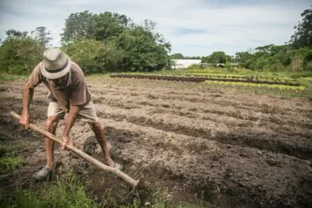 Auxílio contra estiagem é positivo, mas veio tarde e é insuficiente, avaliam agricultores