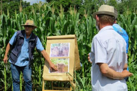 O poder da agricultura familiar (por SENGE-RS)