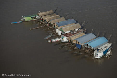 A operação federal envolve equipes que entraram pelo rio, por meio de helicópteros e pelas estradas da região. Ao menos 15 embarcações foram apreendidas. Foto: Bruno Kelly/Greenpeace
