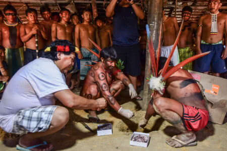 A ciência e as universidades com os Yanomami (por Soraya Smaili, Maria Angélica Minhoto e Pedro Arantes)