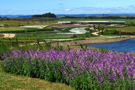 Parque em São Francisco de Paula nega acusações de erro em licenciamento ambiental