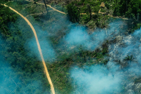 Território de indígenas isolados está ameaçado por lobby do agronegócio