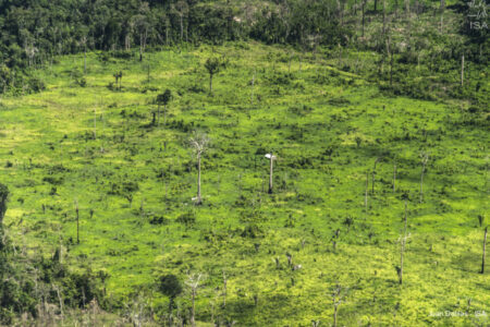 Funai está ‘trabalhando ativamente’ para exterminar povos indígenas, denuncia organização