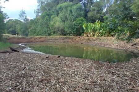 Seca no RS: pequenos agricultores temem ‘faltar água para beber’ se nada for feito