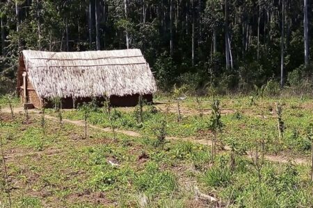 Aldeia Guarani Guajayvi, localizada em Charqueadas. (Foto: Joana Bassi/Divulgação)