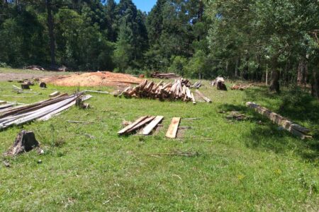 Comunidade Mbya Guarani está sob ameaça na retomada de Canela, alerta Cimi