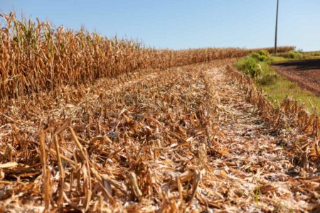 Chuvas no Rio e estiagem intensa no RS são efeitos da emergência climática que afeta o Brasil