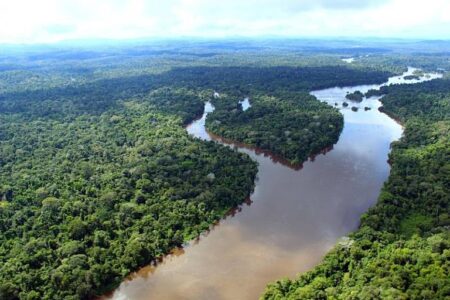 Novo grupo indígena isolado é identificado na Amazônia e já corre risco de extinção