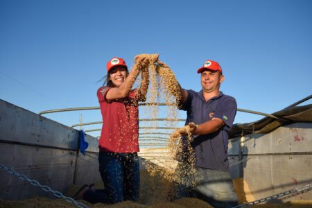 Assentamentos do MST no RS estimam colher mais de 15 mil toneladas de arroz orgânico