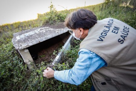 Porto Alegre é uma das cidades com infestação de Aedes aegypti. Foto: Cristine Rochol/PMPA