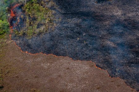 Áreas desmatas e queimadas na sequência. Foto: Vinícius Mendonça/Ibama
