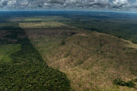 Imagem aérea de sobrevoo de monitoramento de desmatamento na Amazônia, no município de Lábrea, em março de 2022. Foto: Christian Braga/Greenpeace