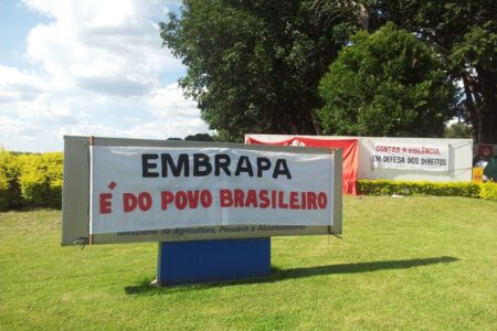 Anos e anos de estudos e pesquisas estão ameaçados (Foto: Divulgação)