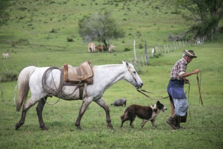 Ambientalistas alertam  que o fim do Pampa significa o apagamento da origem e da história dos gaúchos. Foto: Guilherme Santos/Sul21