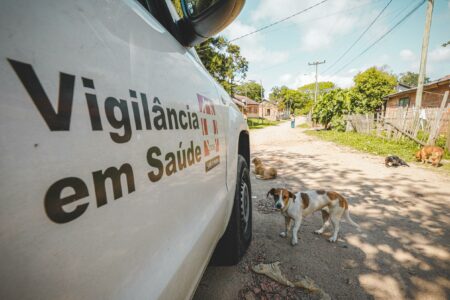 A vacinação antirrábica anual de cães e gatos em todo o território nacional é a principal estratégia de combate à doença. Foto: Alex Rocha/PMPA