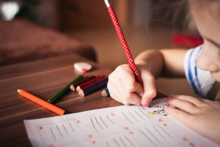 Homeschooling / Ensino Domiciliar. Foto: Pixabay