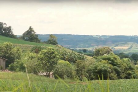 Justiça Federal determina medidas para terminar com arrendamento na Terra Indígena de Nonoai