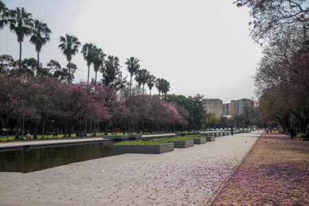 Parque da Redenção, um dos alvos do desmonte da política ambiental em Porto Alegre. (Foto: Luiza Castro/Sul21 )