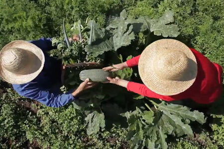 Movimentos populares lançam carta-compromisso socioambiental