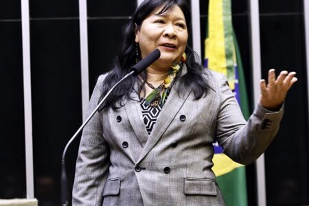 Joênia será a primeira indígena a chefiar o órgão indigenista. Foto: Agência Câmara