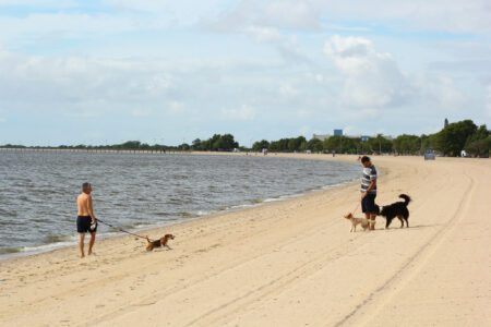 Foto: Marcel Avila/Prefeitura de Pelotas