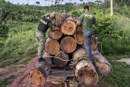 Perto do fim, governo Bolsonaro libera exploração de madeira em terras indígenas