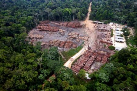 Meio ambiente com Bolsonaro tem o maior colapso orçamentário dos últimos 35 anos