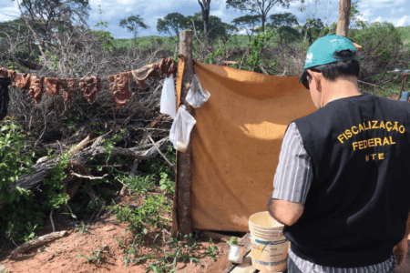 Trabalho escravo: 2.575 pessoas foram resgatadas em 2022