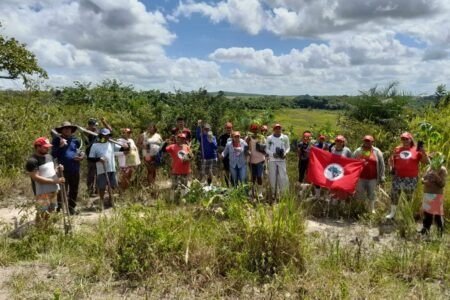 MST planta 10 milhões de árvores em três anos de plano nacional de reflorestamento